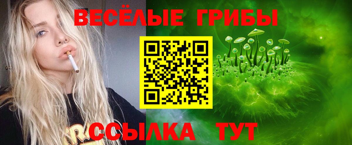 Саяногорск  Псилоцибиновые грибы Psilocybine cubensis  Вход с VPN  Псилоцибиновые грибы GOLDEN TEACHER 